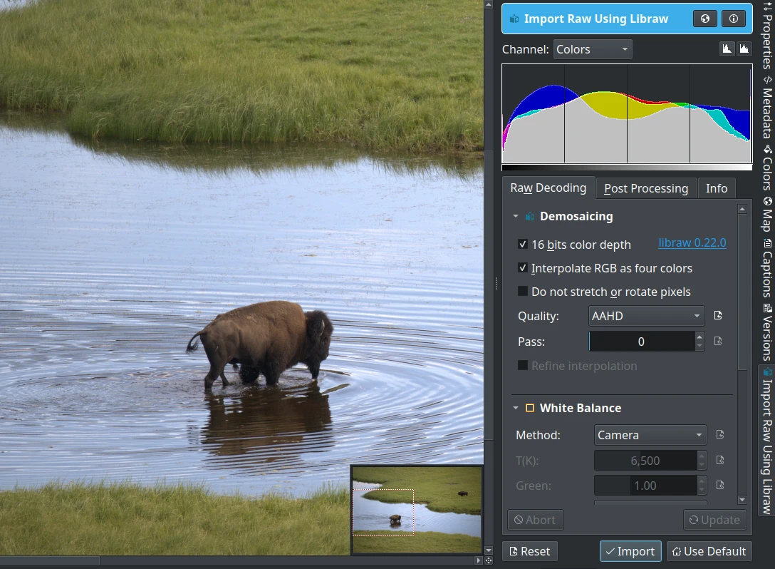 Raw Import Tool