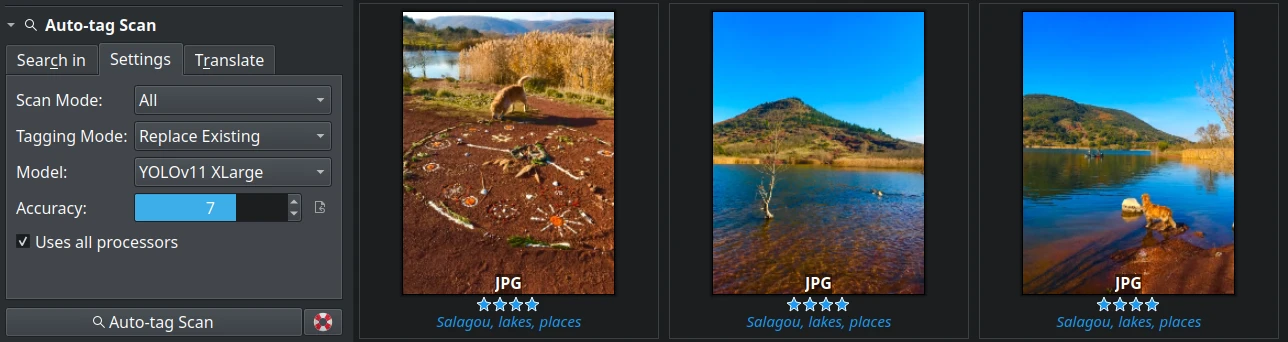 Auto-Tags Settings