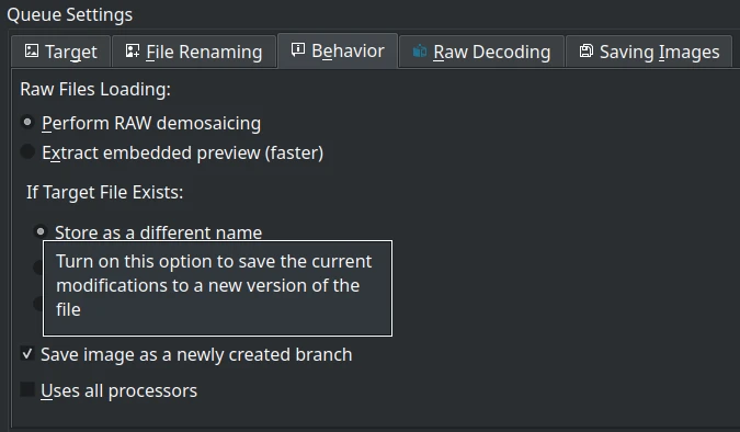 BQM Versioning