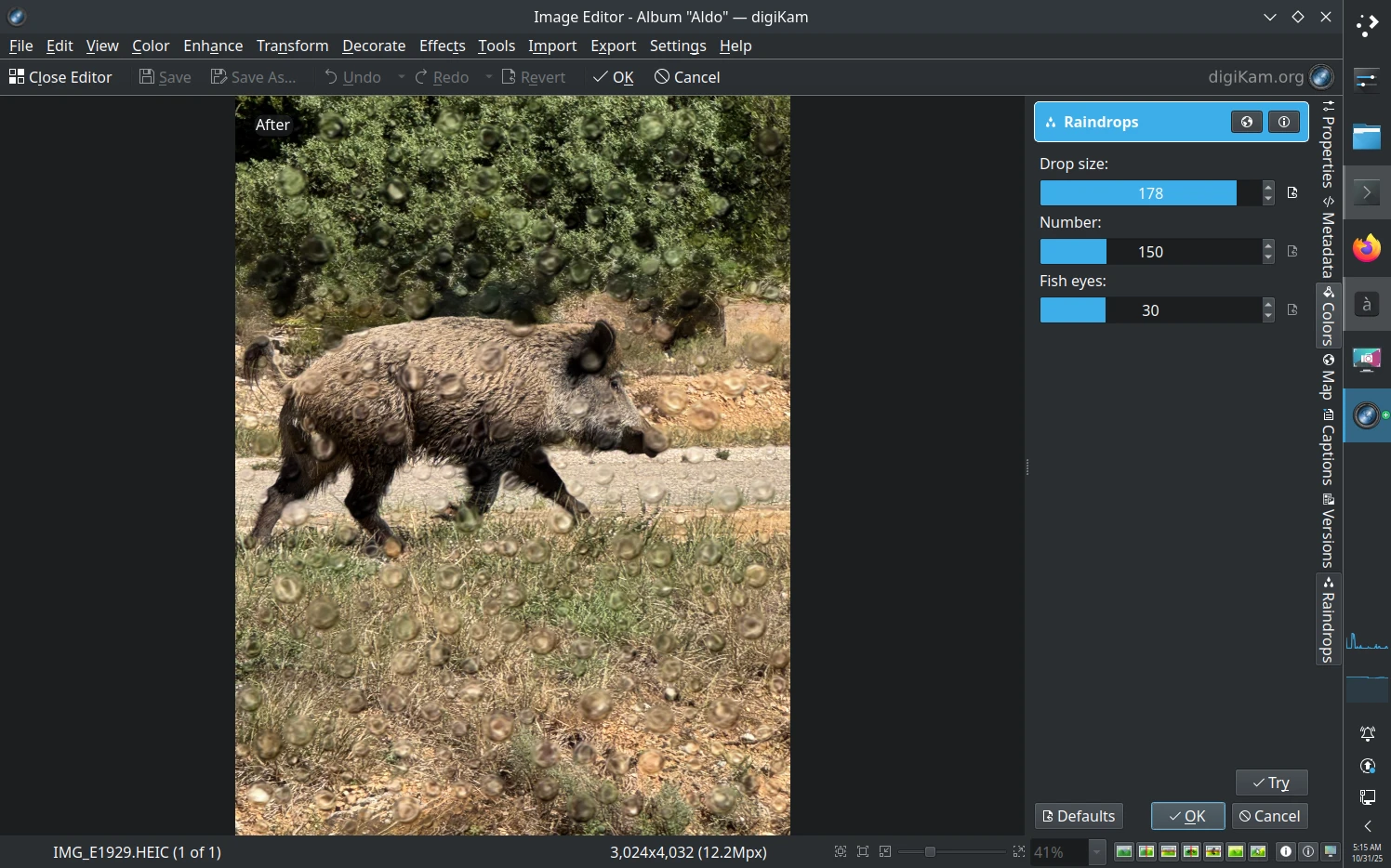 Rain Drops Plugin