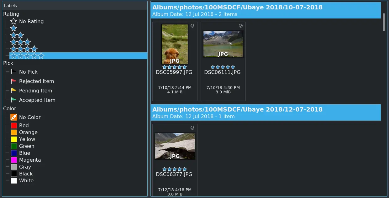 Search Labels